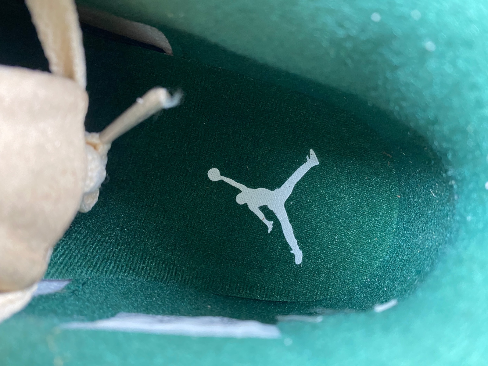 Air Jordan 4 Venusuar