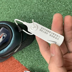 Nike SB Dunk High Black Sheep Hornet