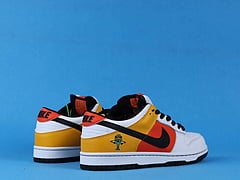 Nike SB Dunk Low Raygun Home