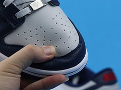 Nike Dunk Low EMB NBA 75th Anniversary