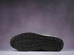 Nike Air Max 1 Travis Scott Cactus Jack