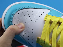 Nike Dunk Low Free 99 White