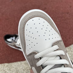 Otomo Katsuhiro x NK SB Dunk Low grey