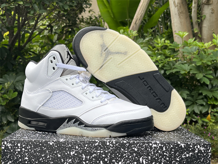Air Jordan 5 reverse metallic