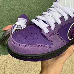 Nike SB Dunk Low Concepts Purple Lobster