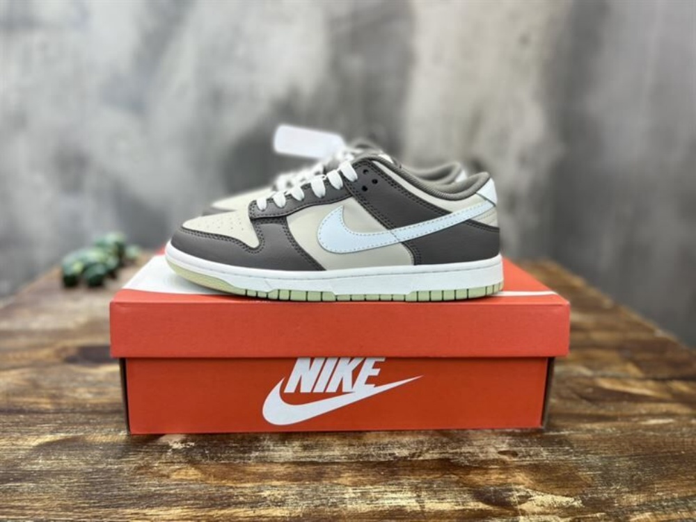 NIKE SB DUNK LOW SNEAKER – NSN018