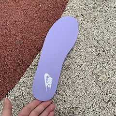 Nike Dunk Low Purple Pulse