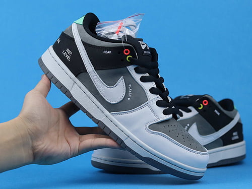 Nike SB Dunk Low VX1000