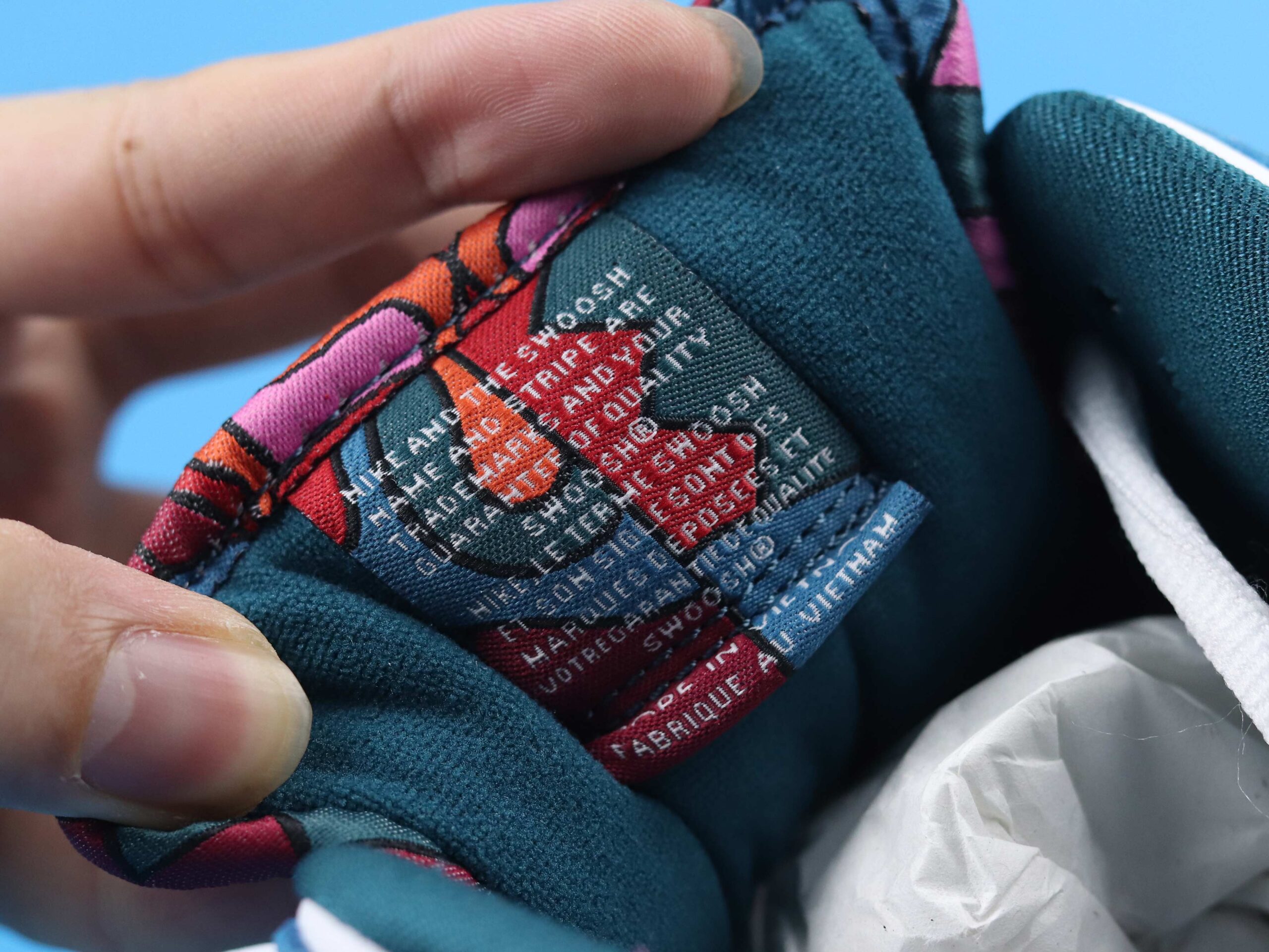 Nike Dunk SB Low Pro QS Parra (Friends & Family) (2021)