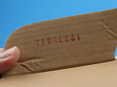 Nike Dunk Low Free 99 White