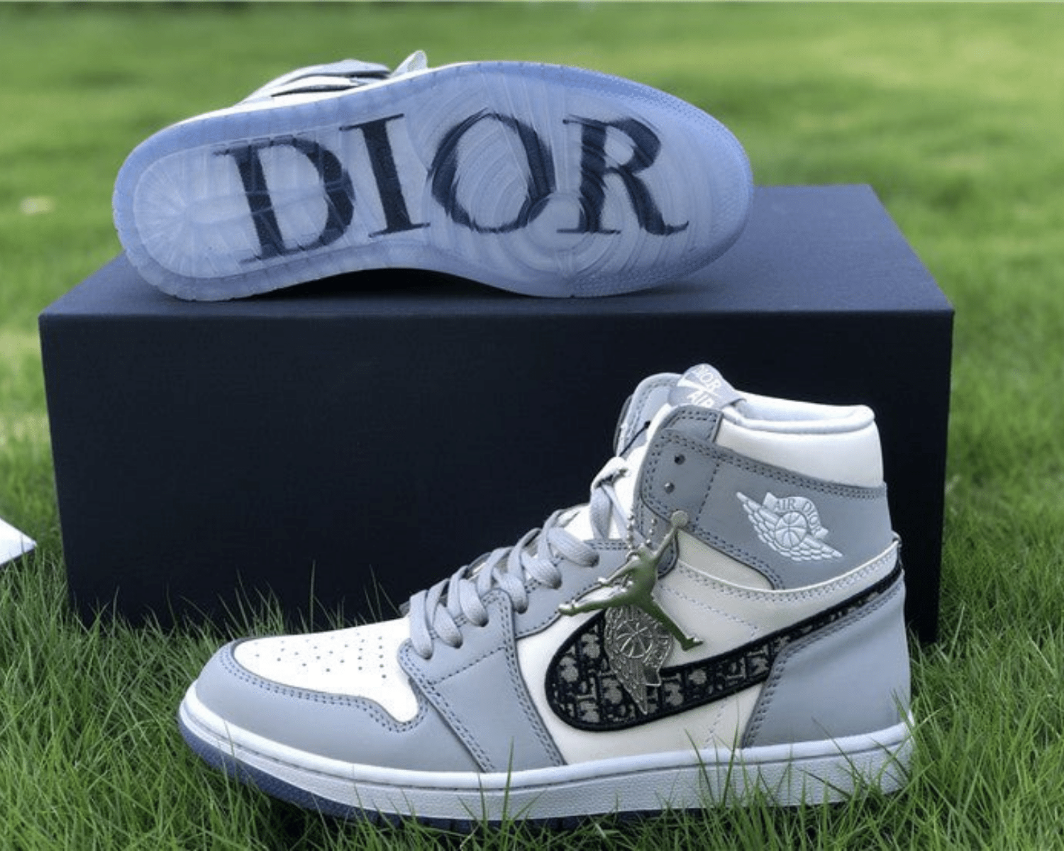 Air Jordan 1 x Dior Retro High 32