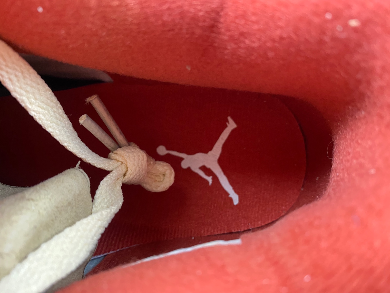 Air Jordan 4 Charizard