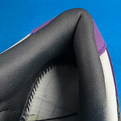 Nike Dunk SB Low Purple Pigeon