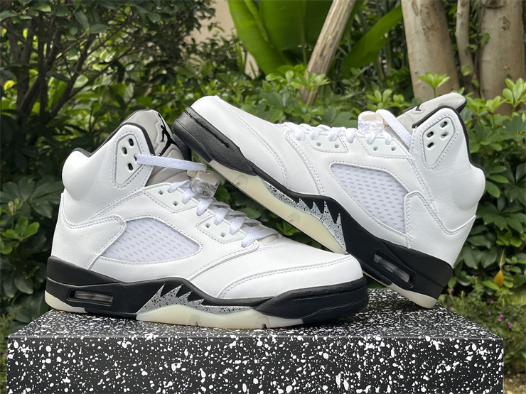 Air Jordan 5 reverse metallic