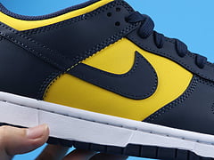 Nike Dunk Low Michigan (2021)