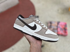 Otomo Katsuhiro x NK SB Dunk Low grey