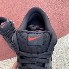 Nike SB Dunk Low Black Pigeon