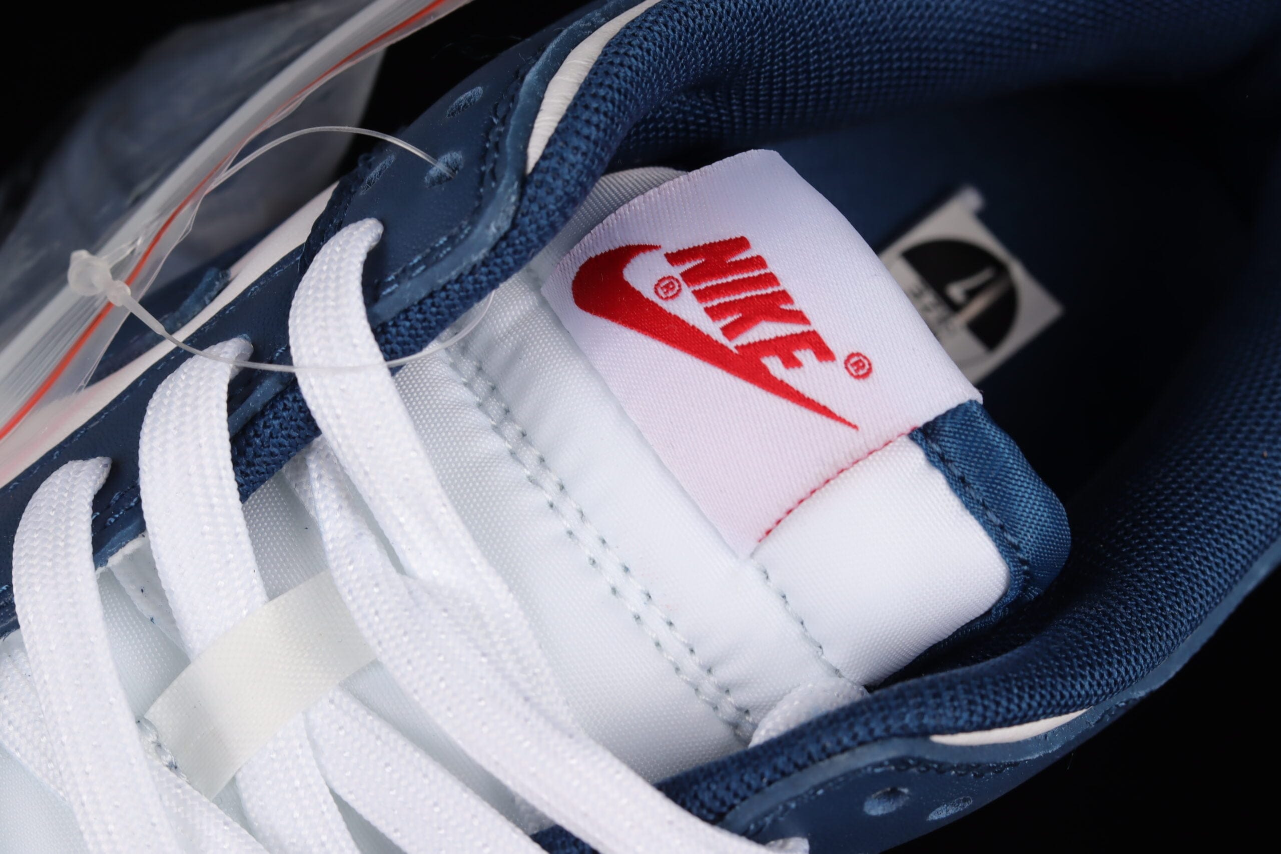 Nike Dunk Low Valerian Blue