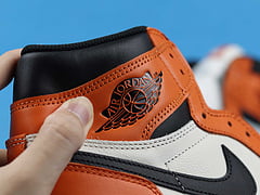Air Jordan 1 Retro Reverse Shattered Backboard