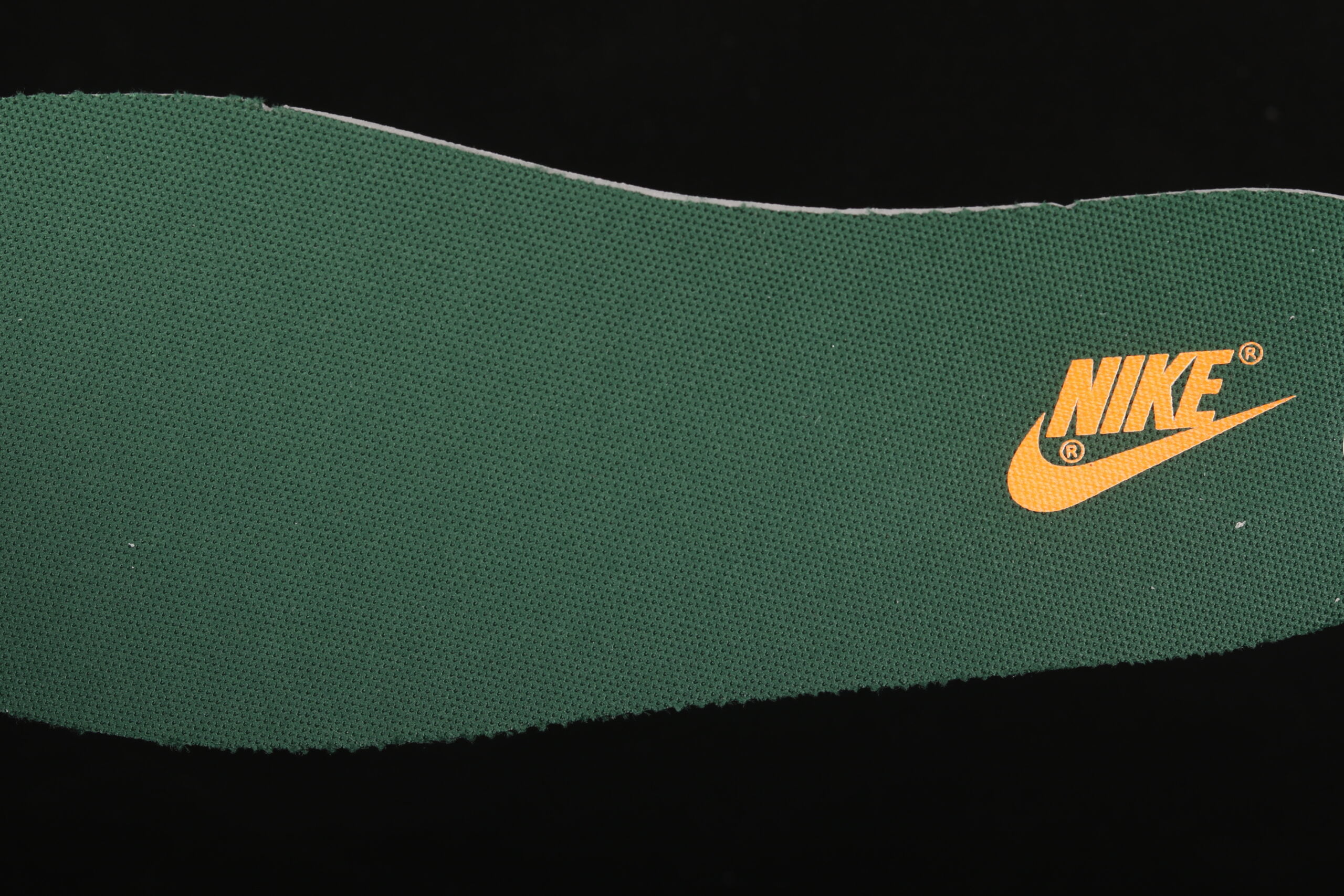 Nike Dunk Low Michigan State