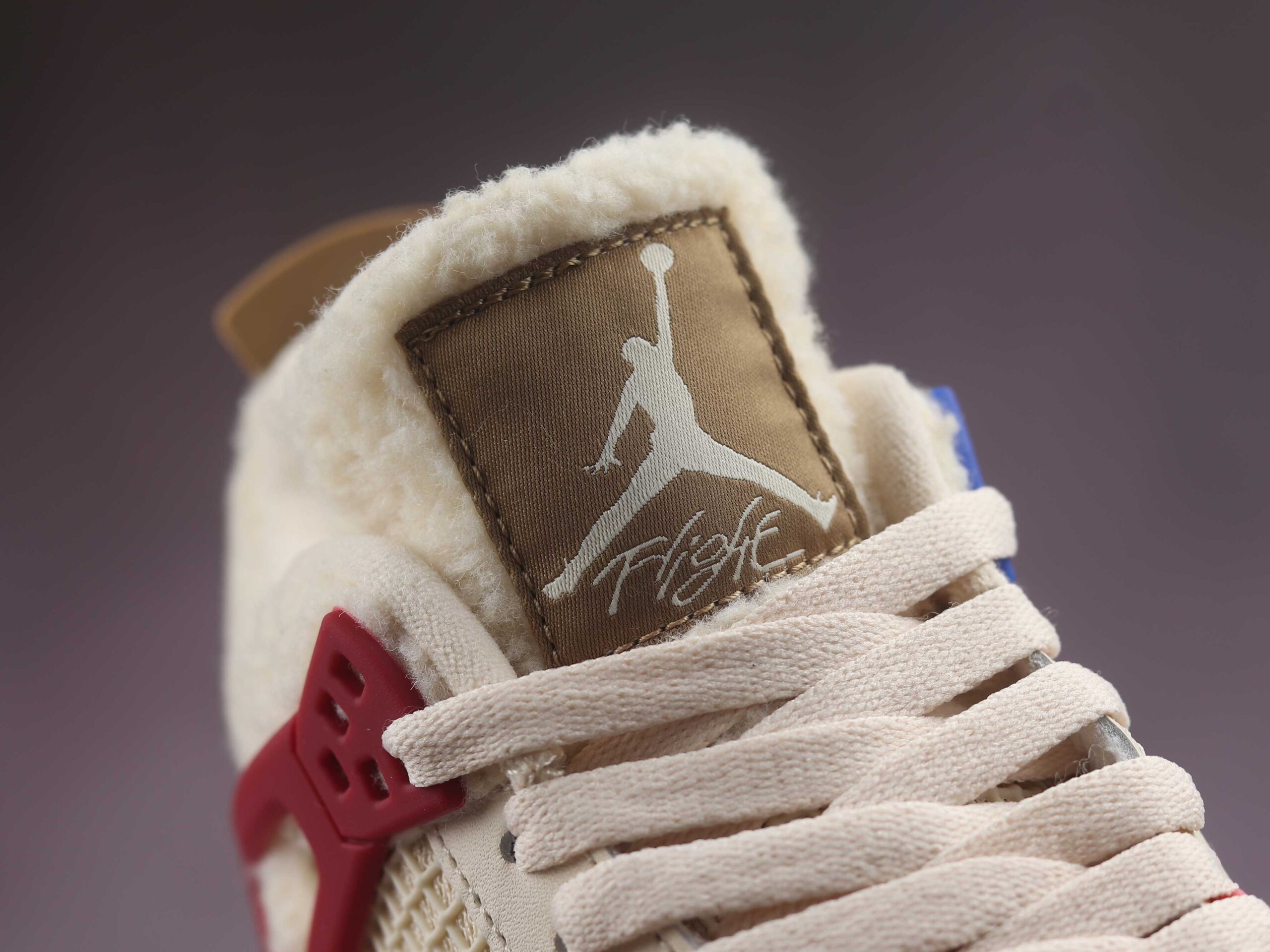 Jordan 4 Retro Where the Wild Things Are