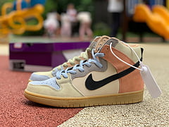 Nike SB Dunk High Spectrum