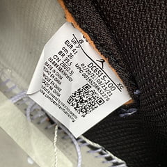 Jordan 1 Retro High OG Prototype