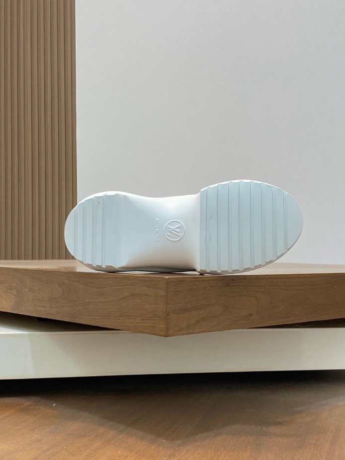 Louis Vuitton Archlight Sneaker – LVS213