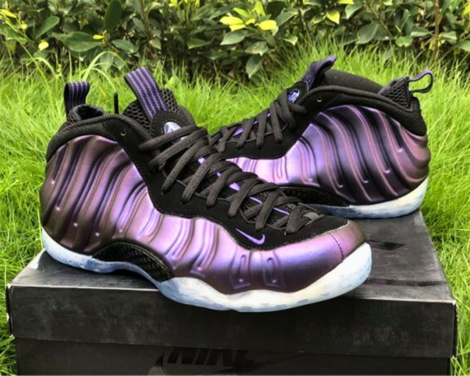 Nike Air Foamposite Eggplant