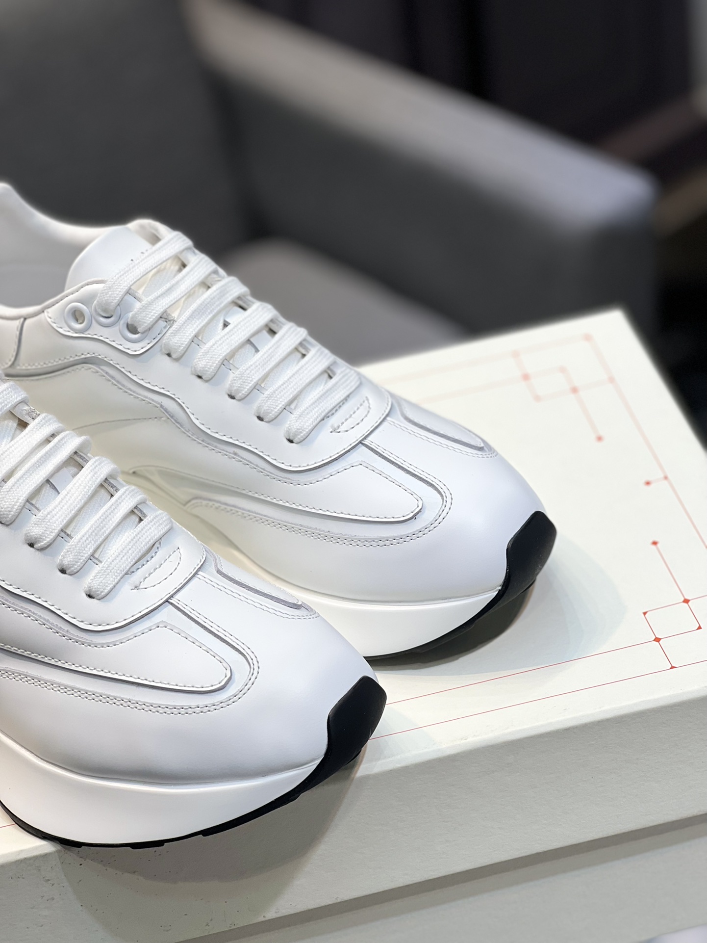 Alexander McQUEEN authentic unboxing