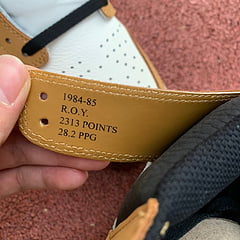 Air Jordan 1 Rookie of the Year