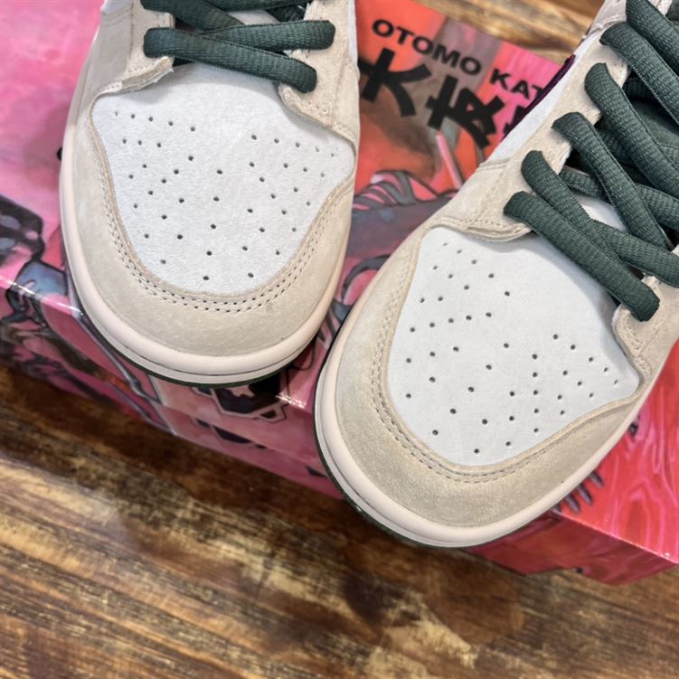 NIKE SB DUNK LOW SNEAKER – NSN012