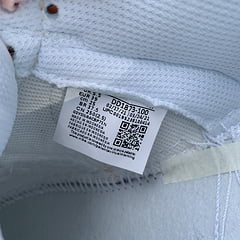 Nike Dunk Low Move To Zero Pale Coral