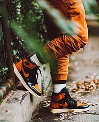 Air Jordan 1 Retro High Shattered Backboard 3.0