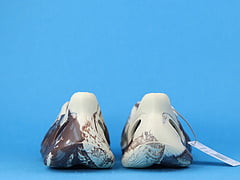 Adidas Yeezy Foam RNNR Cream Clay