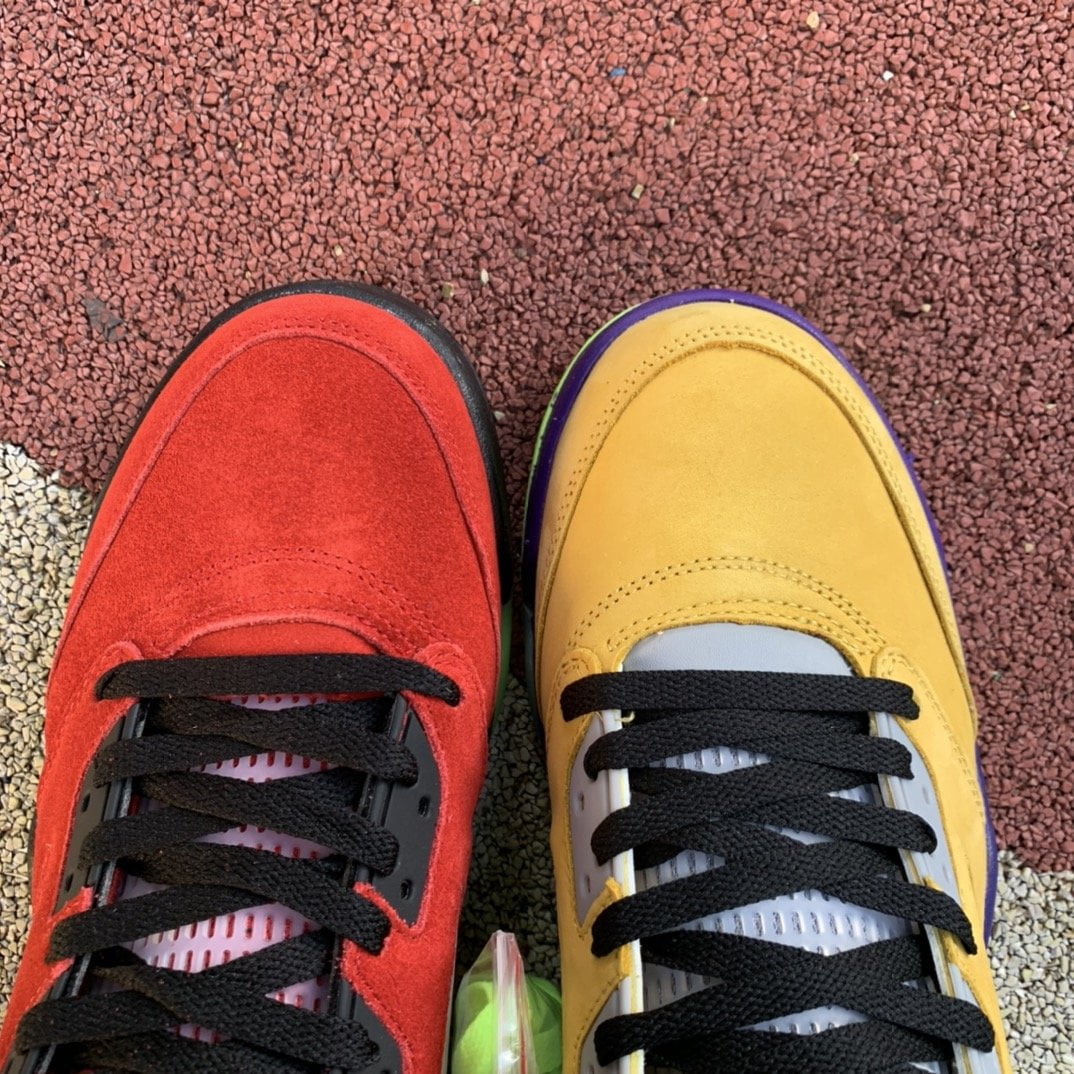 Air Jordan 5 Retro What The