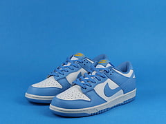 Nike Dunk Low Coast