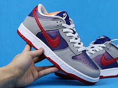 Nike Dunk Low Co.JP Samba