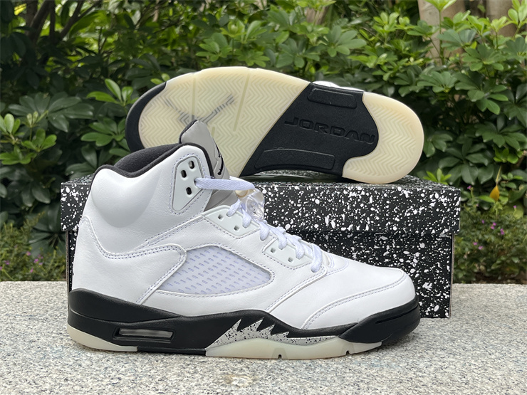 Air Jordan 5 reverse metallic