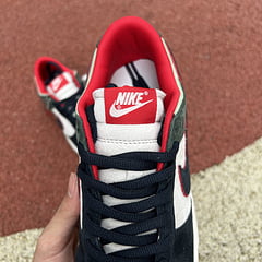 Otomo Katsuhiro x NK SB Dunk Low black