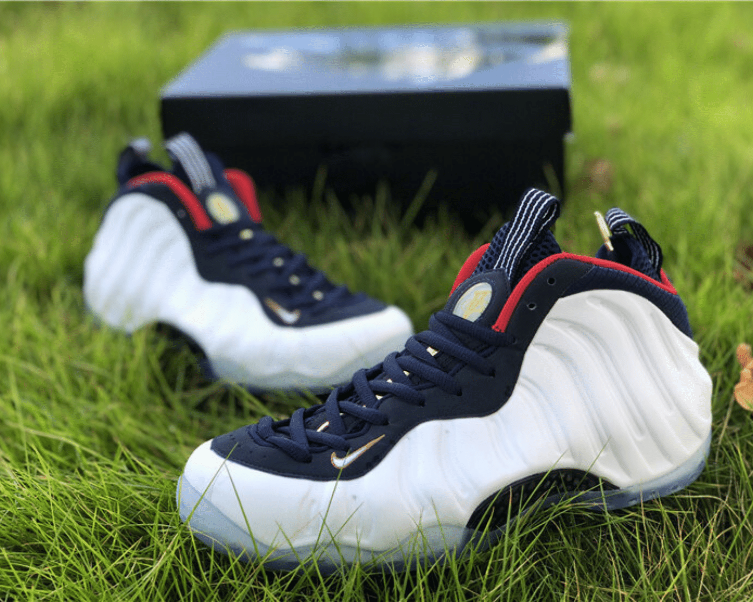 Nike Air Foamposite Olympic