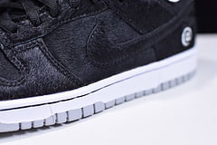 Nike SB Dunk Low Medicom Toy