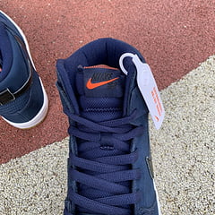NK SB Dunk High Pro