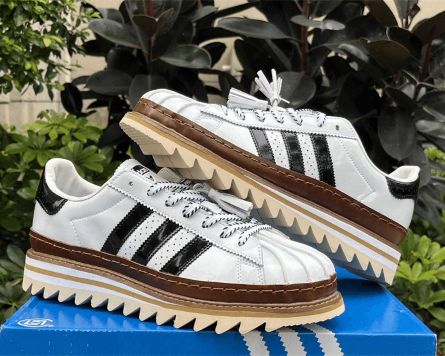 CLOT x adidas Originals Superstar White Crystal Sand