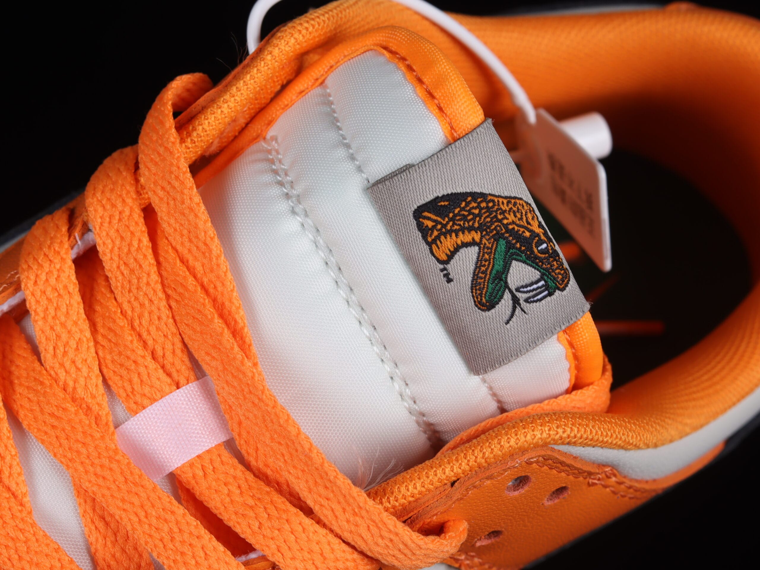 Nike Dunk Low Florida A&M University