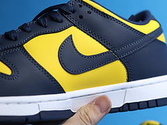 Nike Dunk Low Michigan (2021)