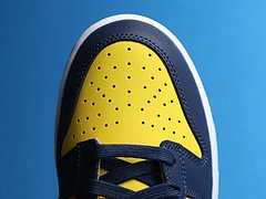 Nike Dunk Low Michigan (2021)