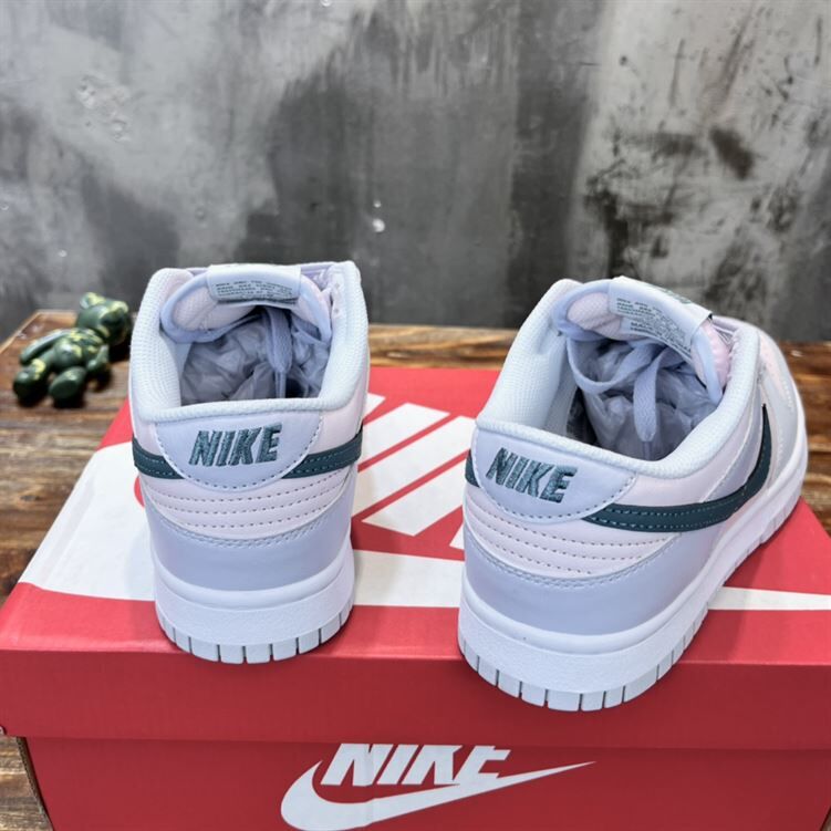 NIKE SB DUNK LOW SNEAKER – NSN013