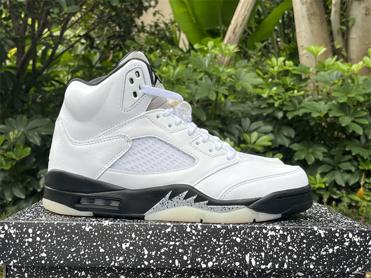 Air Jordan 5 reverse metallic