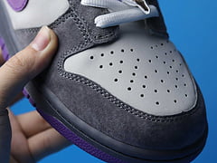 Nike Dunk SB Low Purple Pigeon